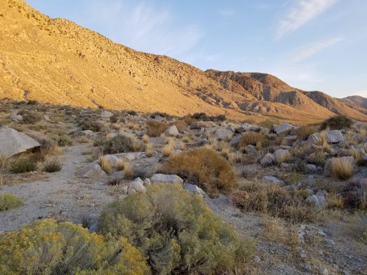 Sagebrush and sunlit ridges