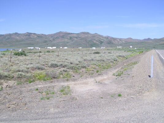 Sagebrush and blacktop
