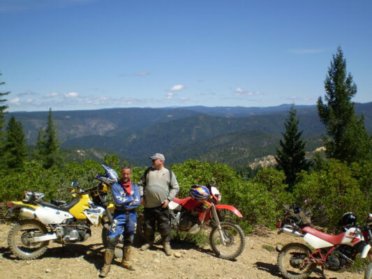 Sierra forest views