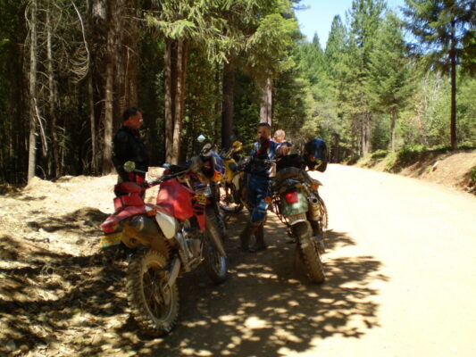 Break in the pines
