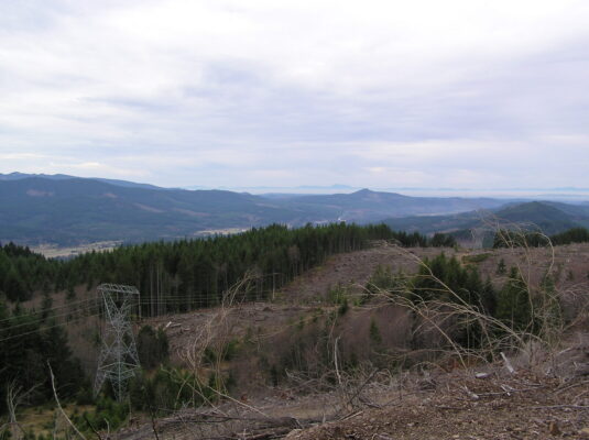 View from the top
