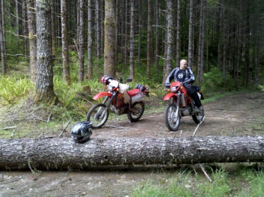 Two bikes and a downed log