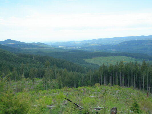 View over the valley from the clearcut