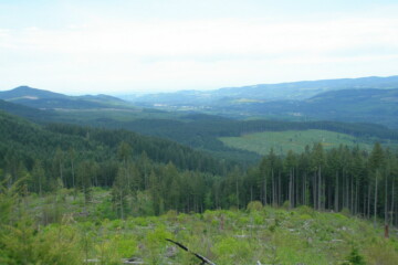 View over the valley from the clearcut