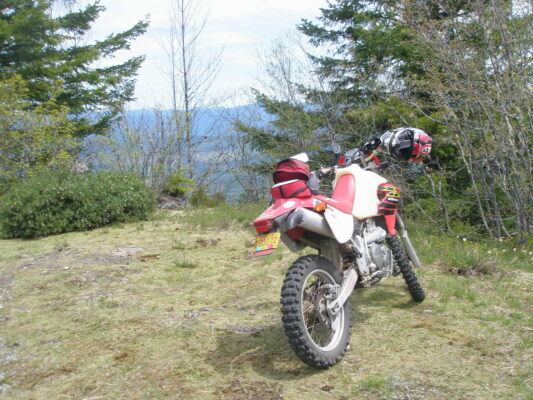 Stopped in the meadow