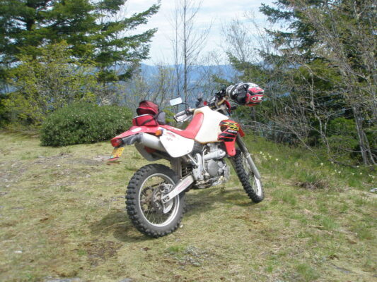 Meadow break