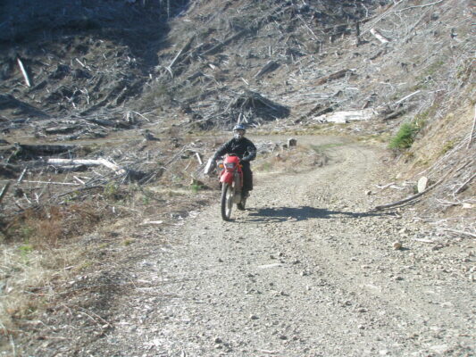 Climbing the logging road