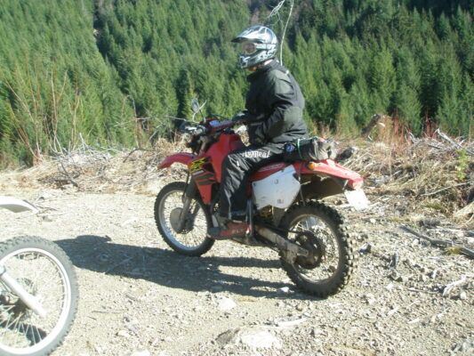 Rider in the clearcut