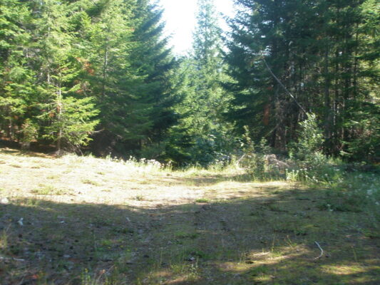 Overgrown doubletrack