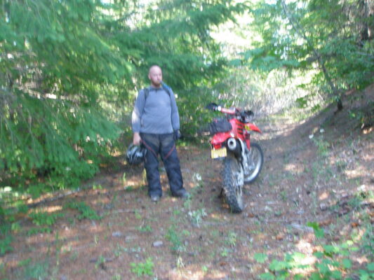 Break on the overgrown road
