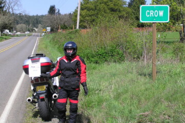 Checkpoint: Crow