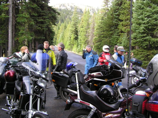 Group in the pines