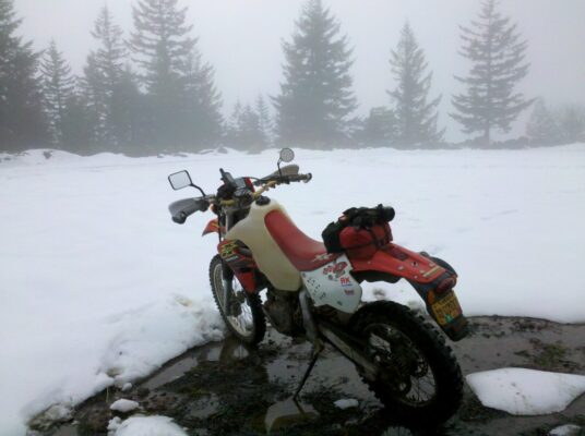 Foggy morning, snow to the pegs