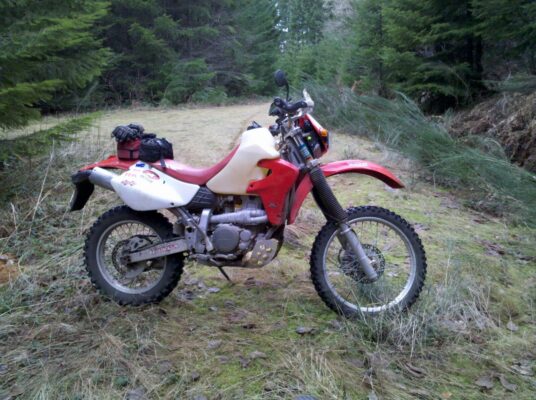Grassy road and the bike